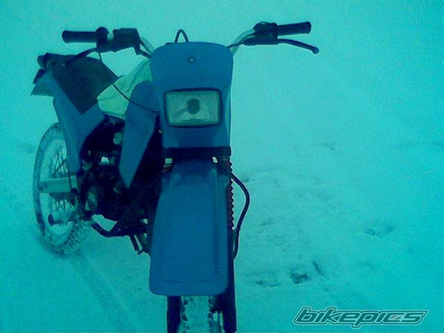 Photo 510488