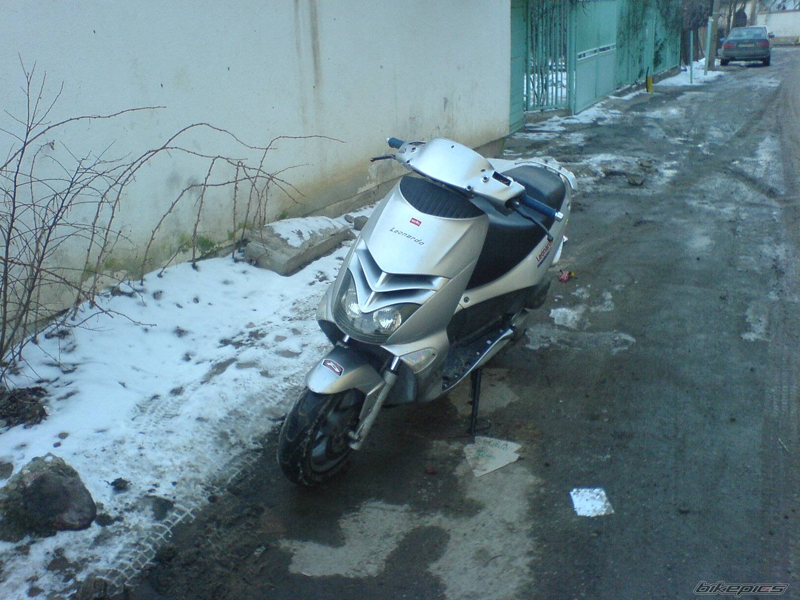 Photo 510566