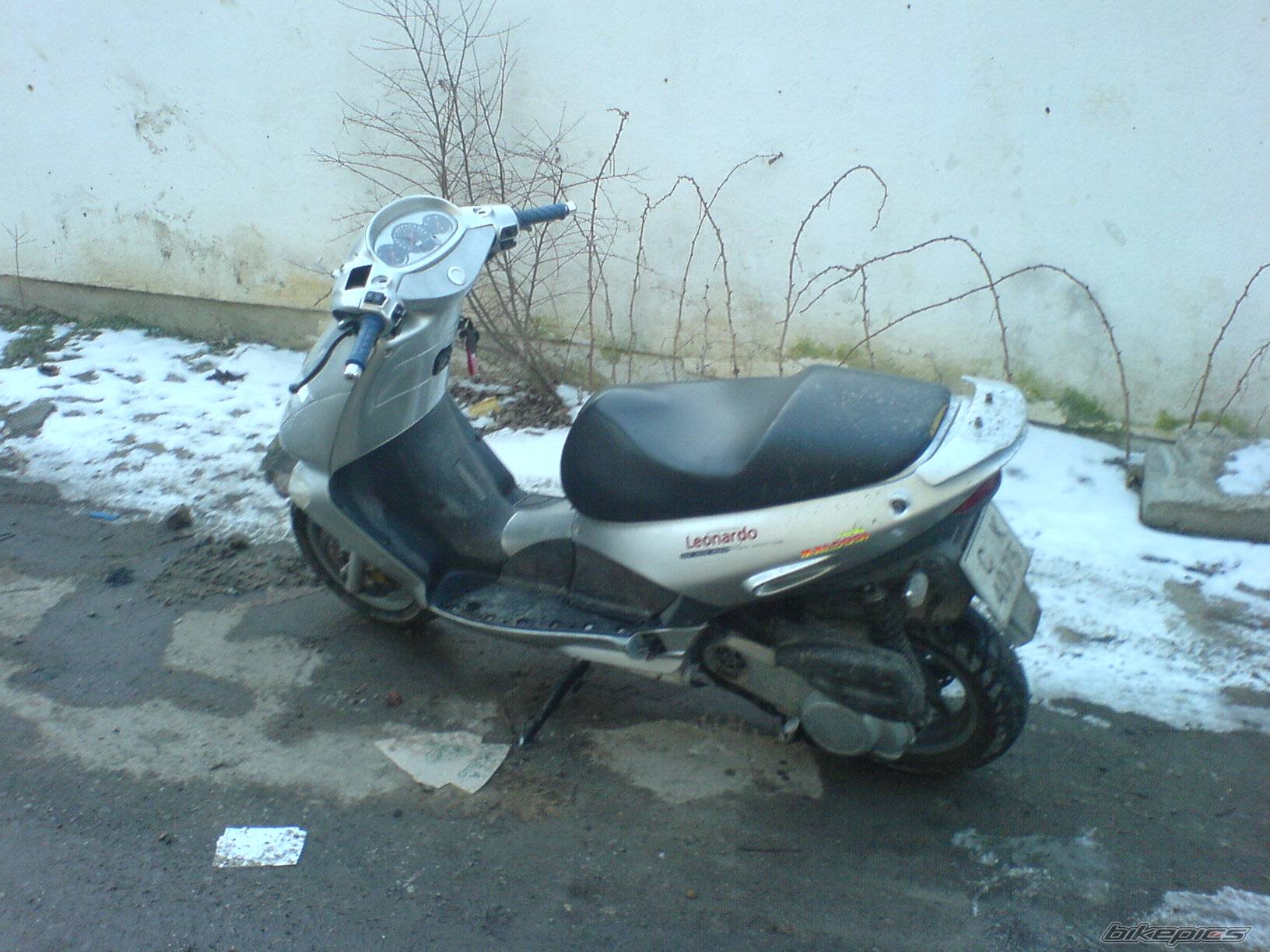 Photo 510568