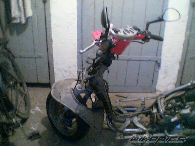 Photo 510609