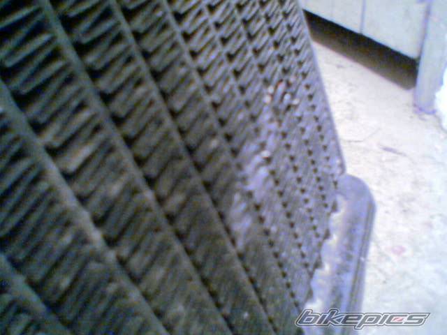 Photo 510621