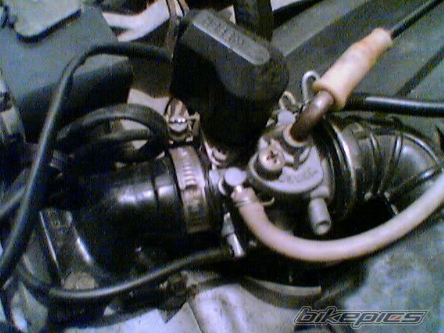 Photo 510631