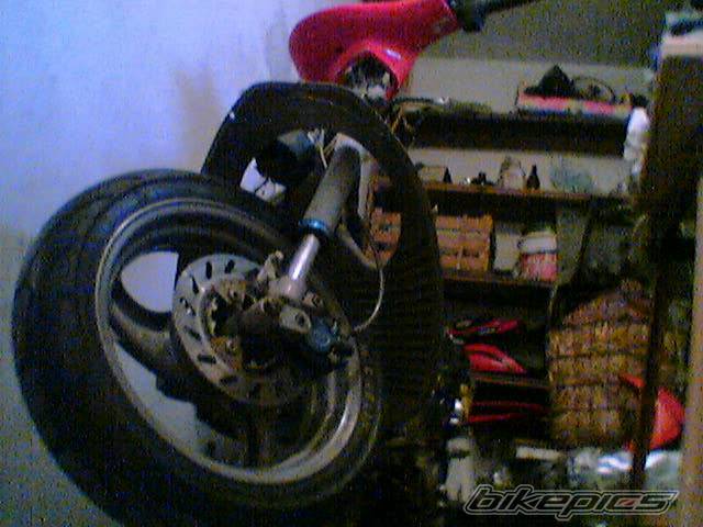 Photo 510642