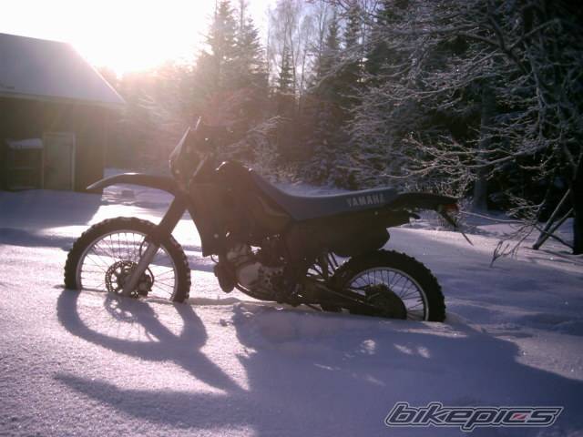 Photo 510686