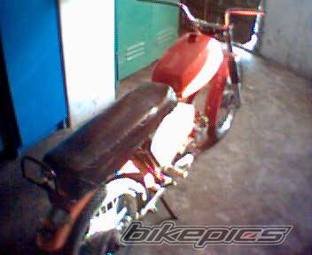 Photo 510693