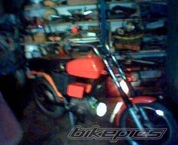 Photo 510698