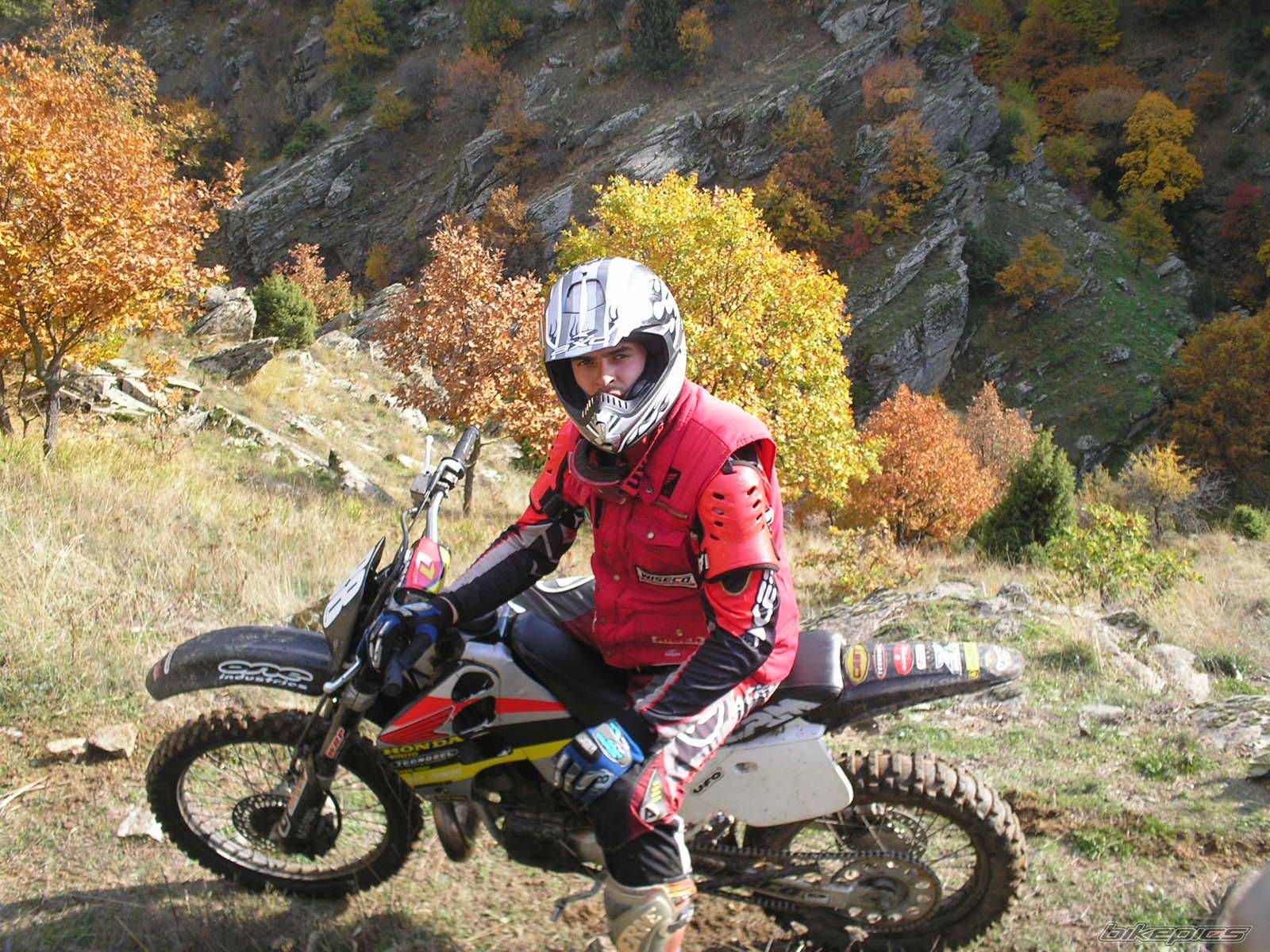 Bike Photo 510869