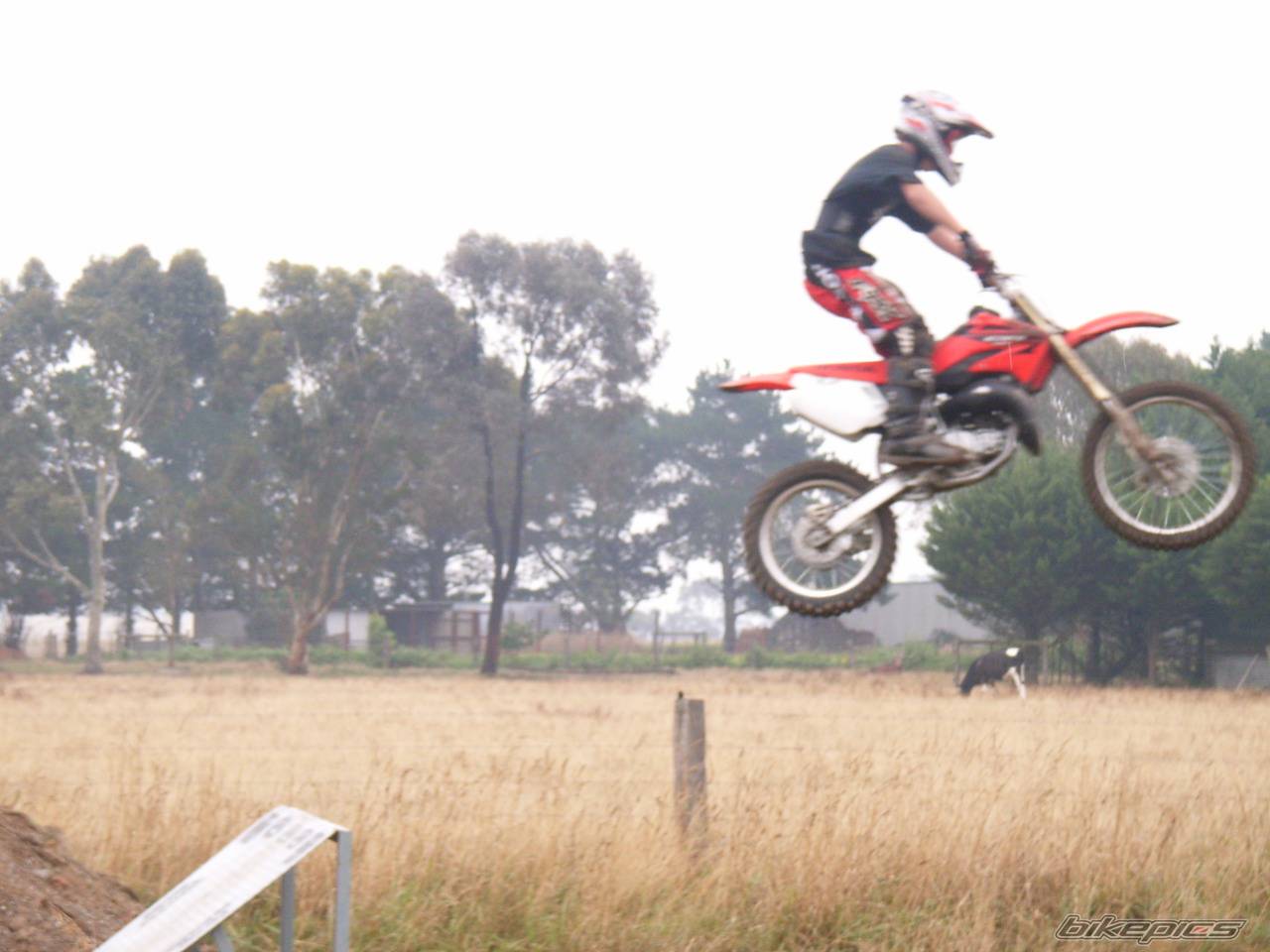 Bike Photo 510993