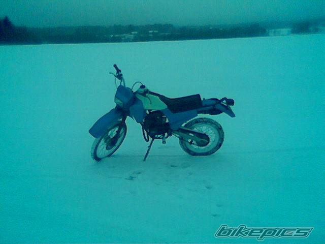 Photo 511200