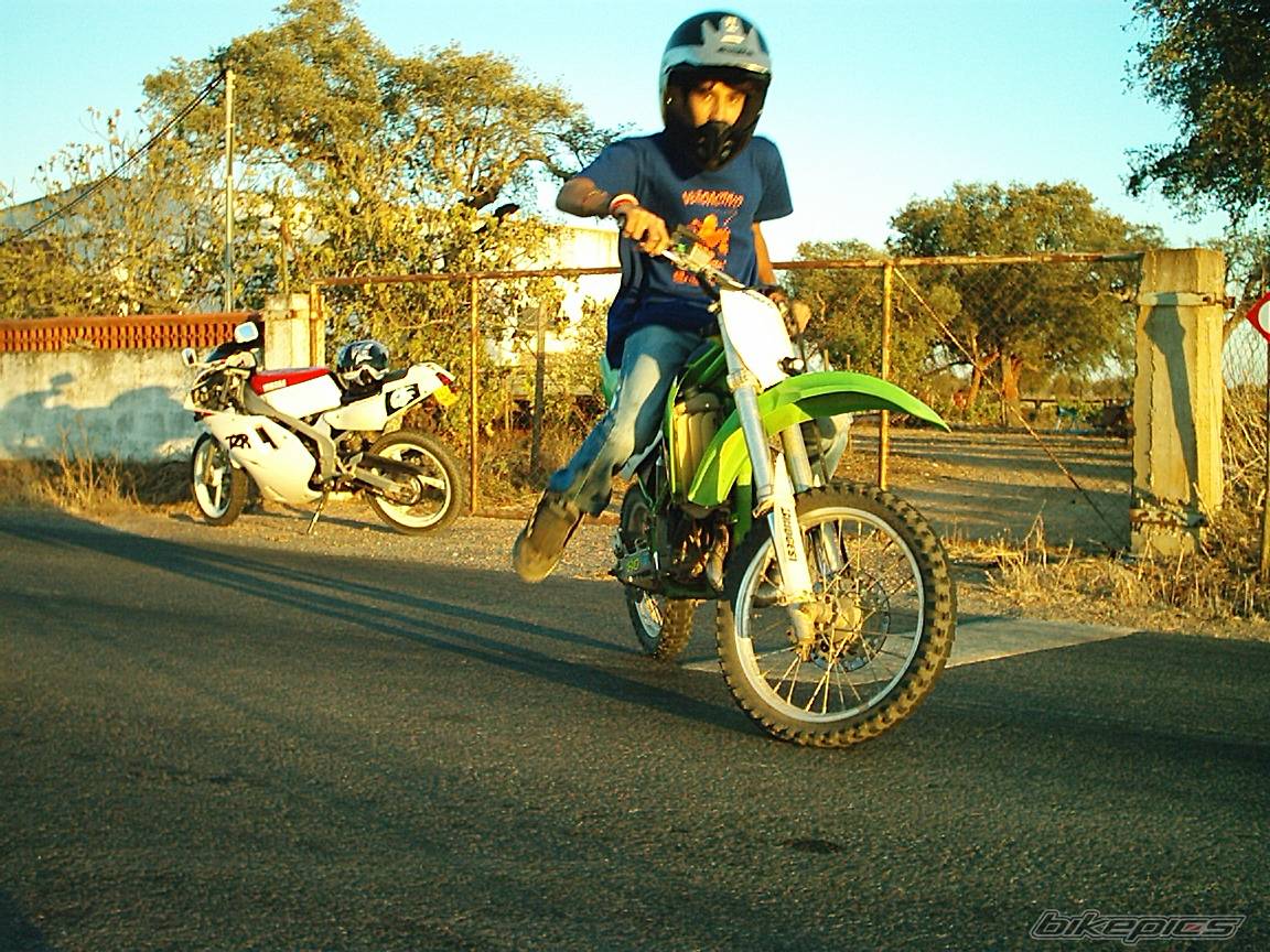 Photo 511264