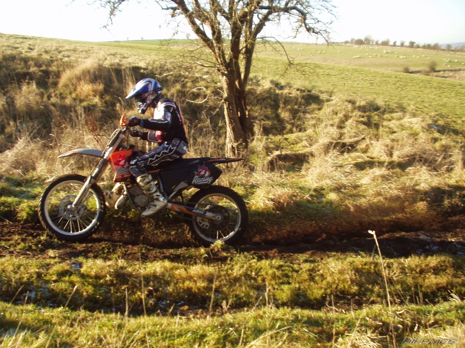 Bike Photo 511390