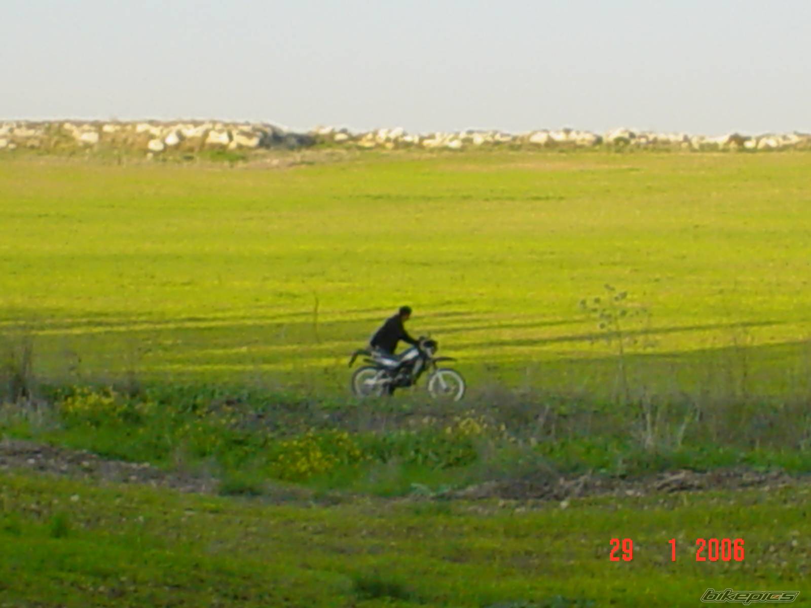 Photo 511441