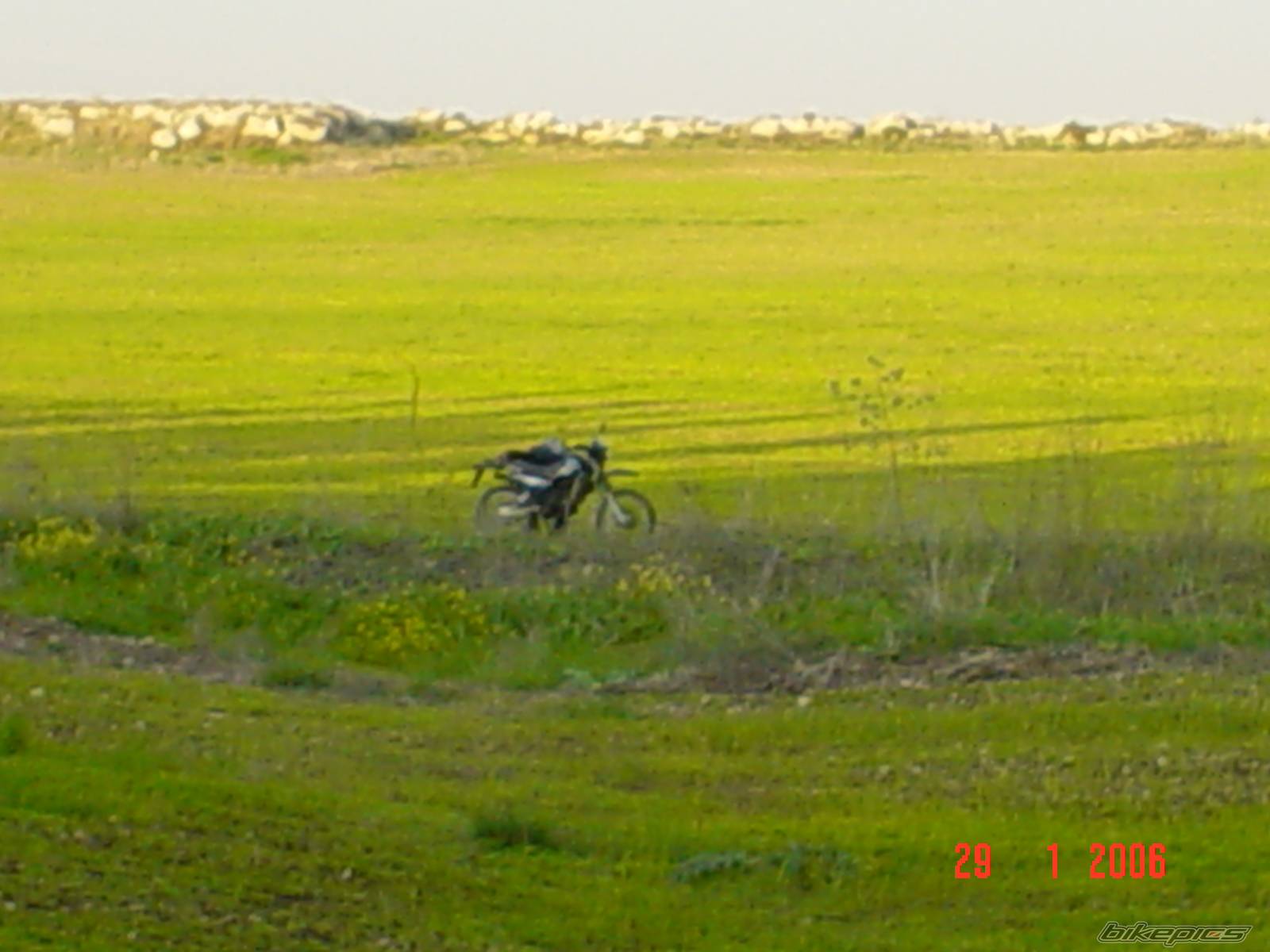 Photo 511444