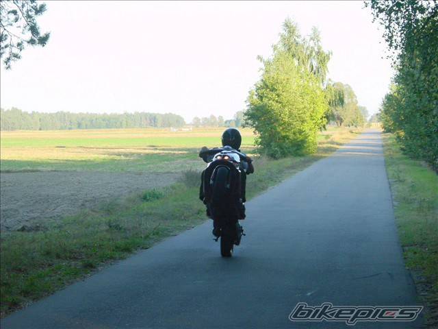 Photo 511449