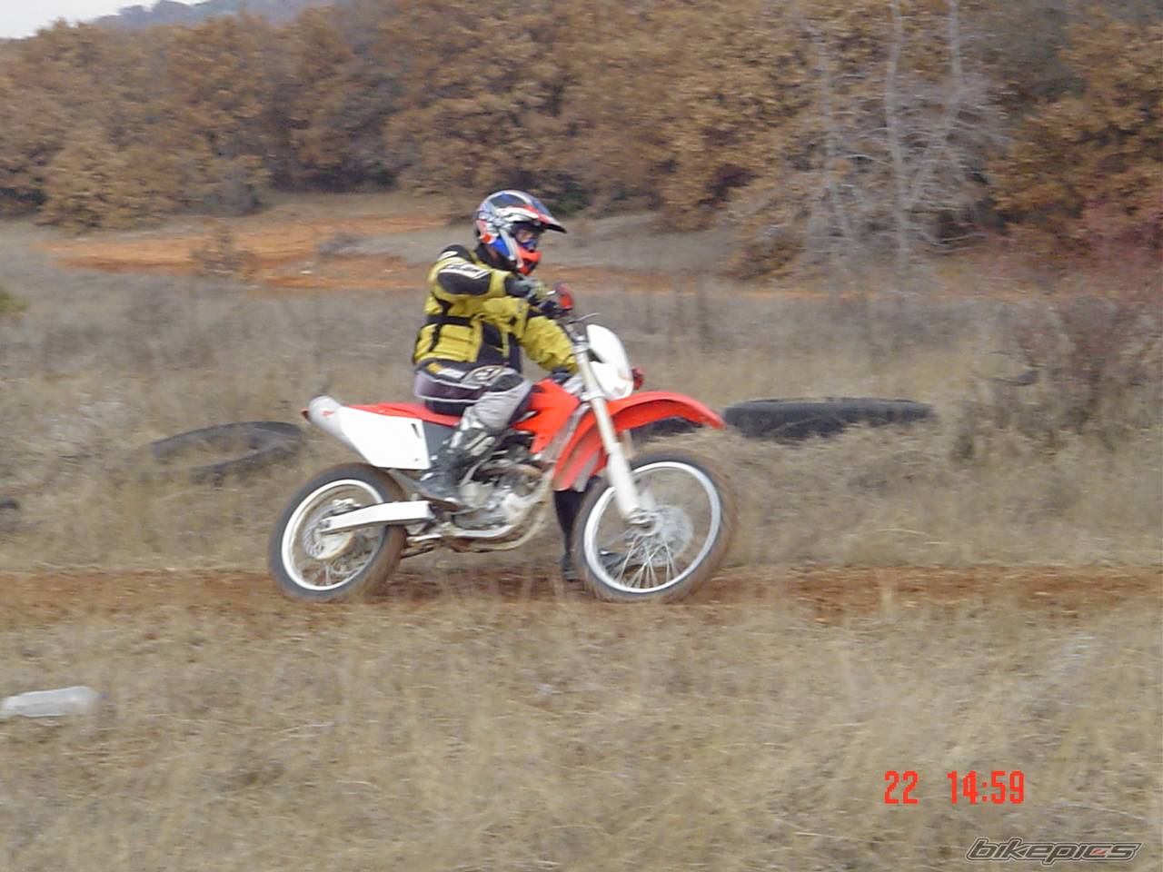 Photo 511551