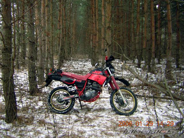 Bike Photo 511575