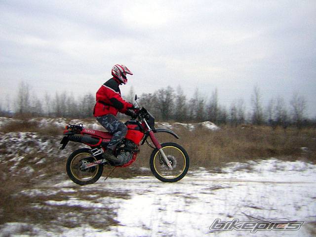 Bike Photo 511582