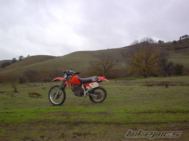 Bike Photo 51161