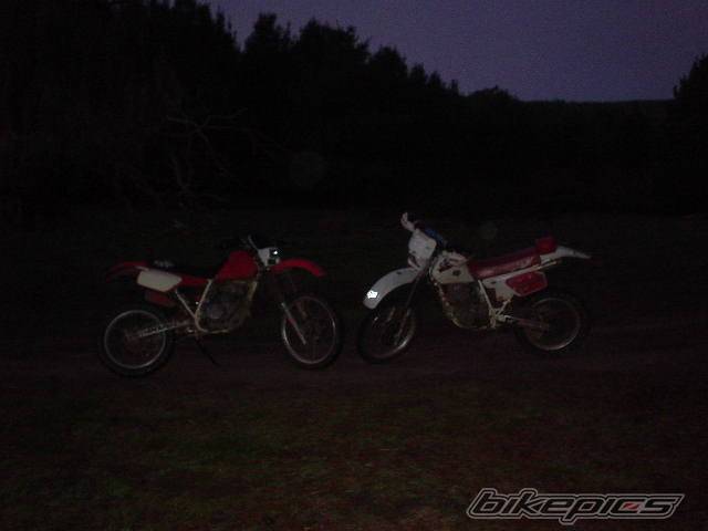 Bike Photo 51162