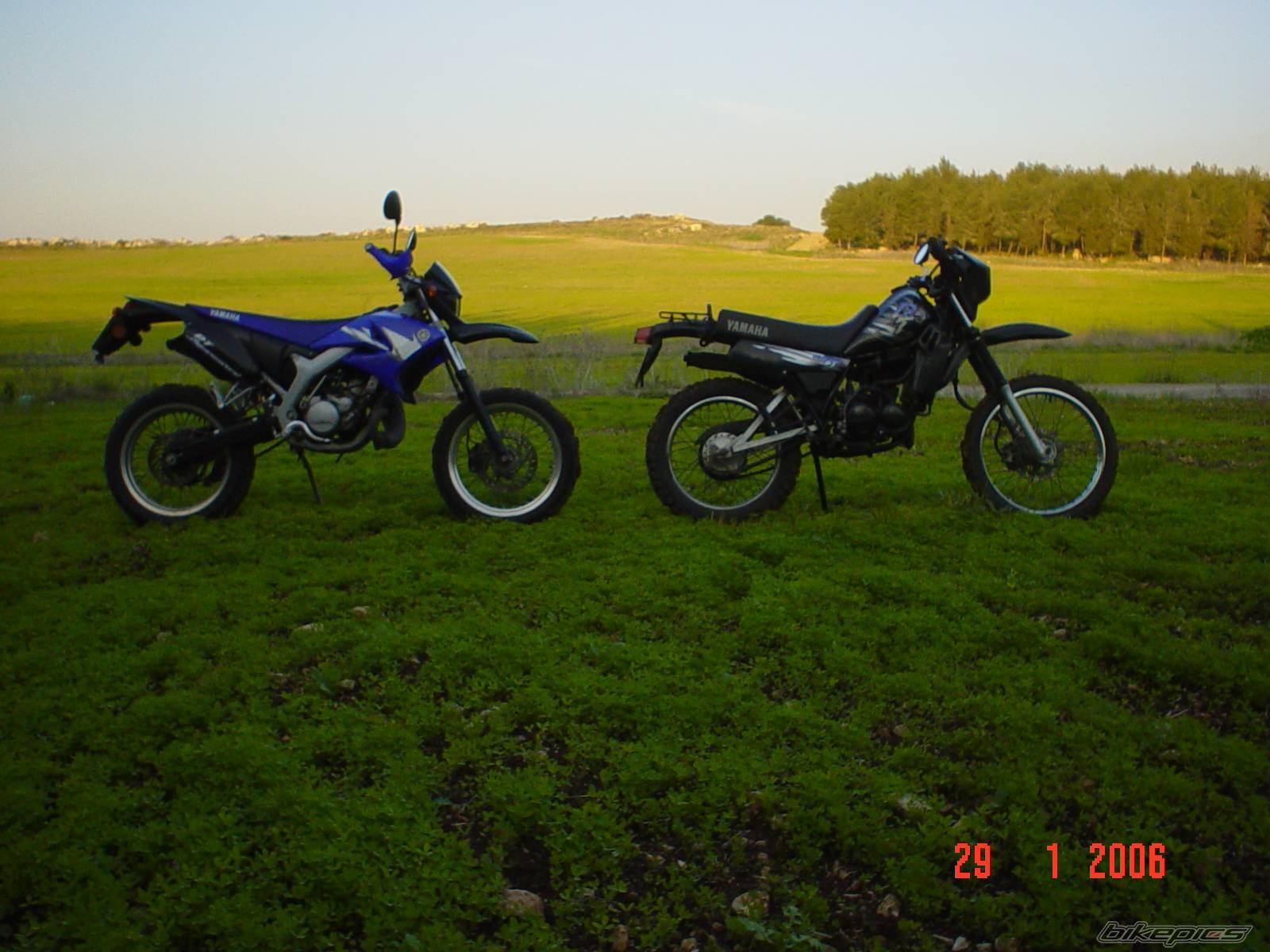 Photo 511643
