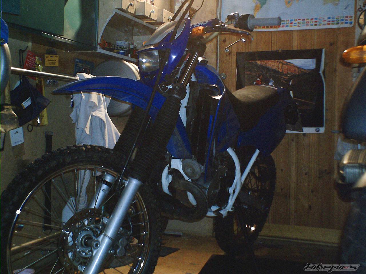 Photo 512392