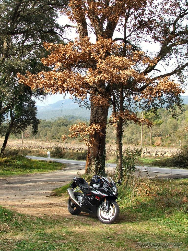 Bike Photo 512520