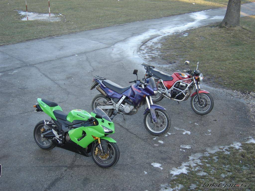 Photo 512831