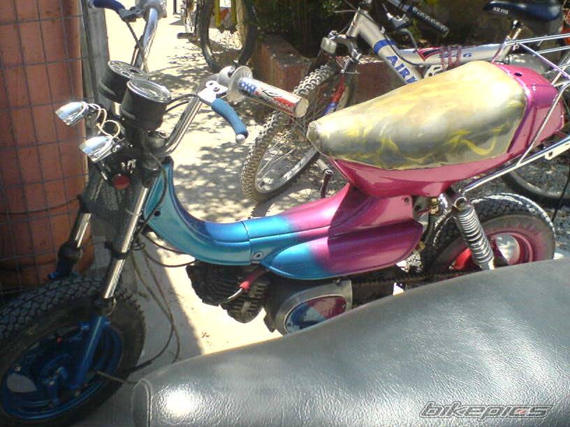 Photo 512878