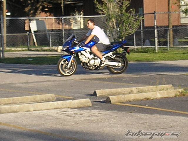 Photo 513079