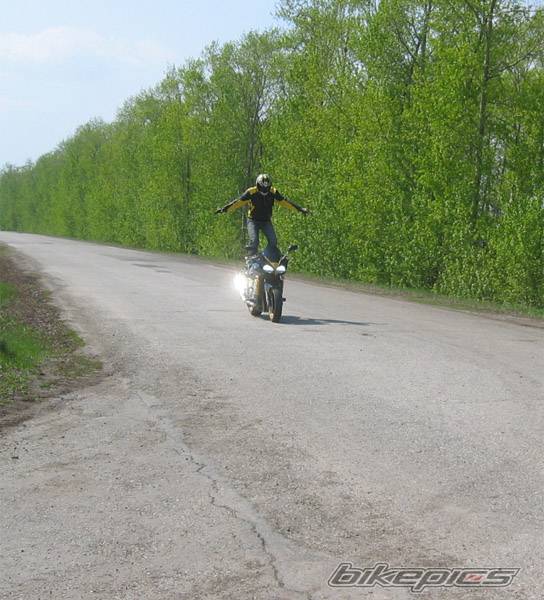 Photo 513190