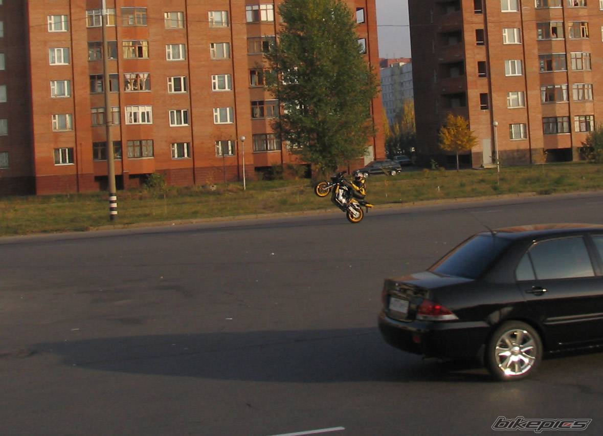 Photo 513791