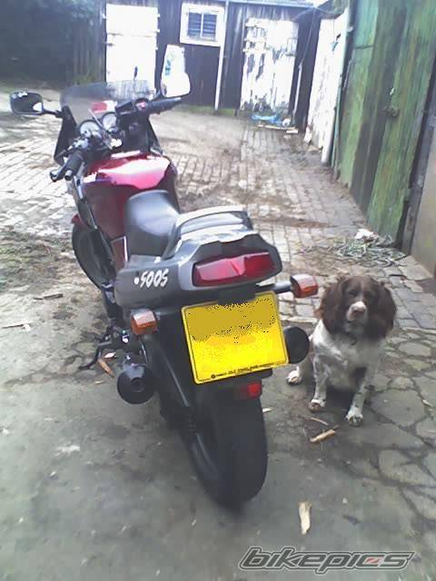 Bike Photo 513947