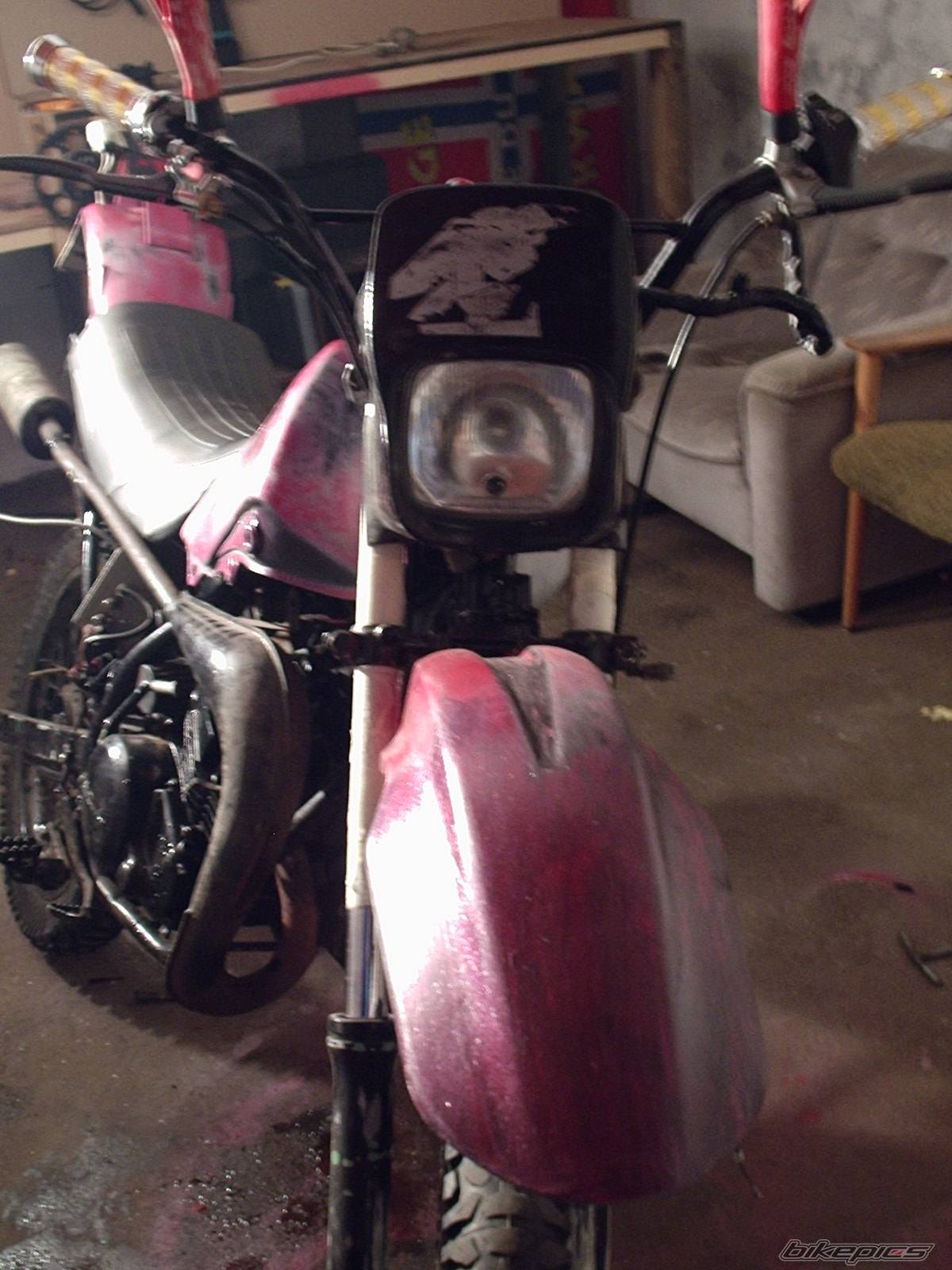 Photo 514227