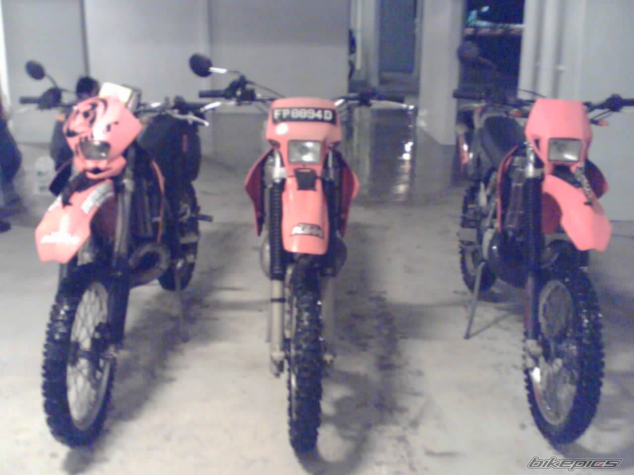 Photo 514569
