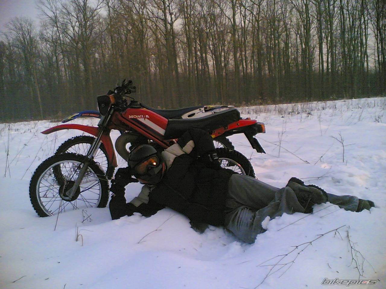 Bike Photo 515185