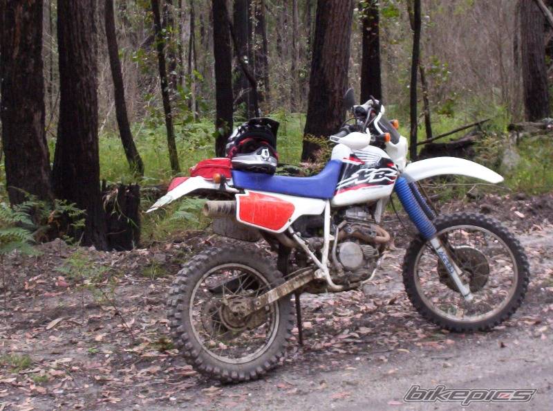 Bike Photo 515216