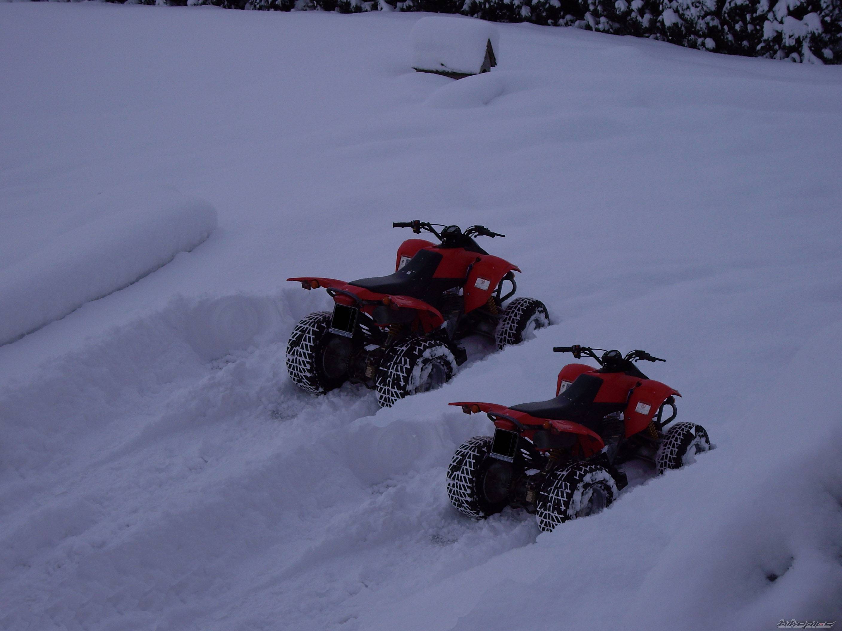 Photo 515273