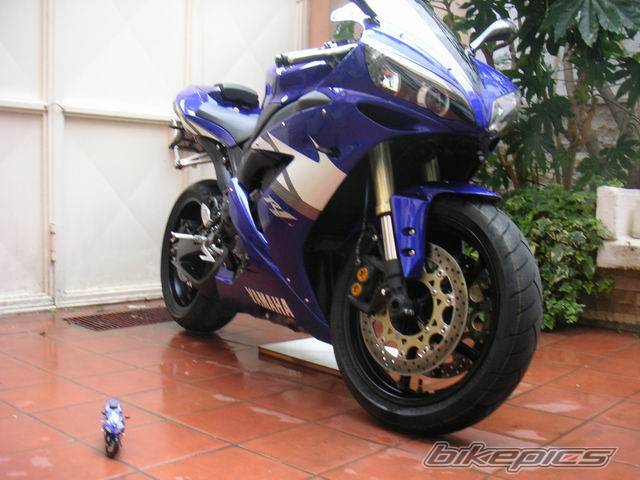 Bike Photo 515377
