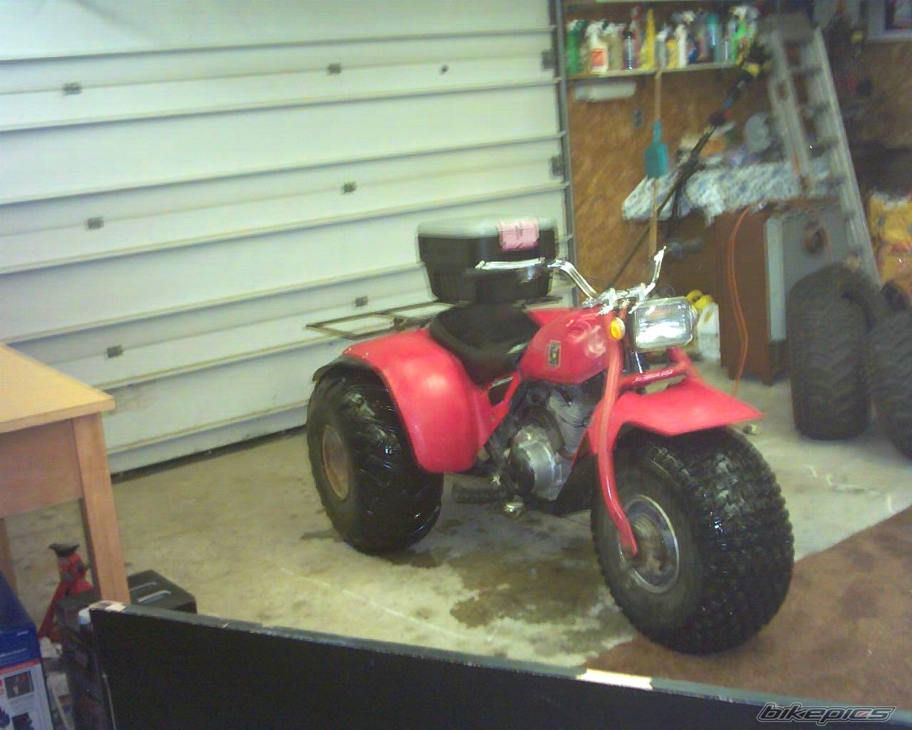 Photo 515753