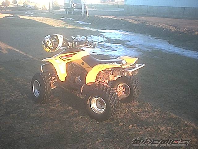 Photo 516179