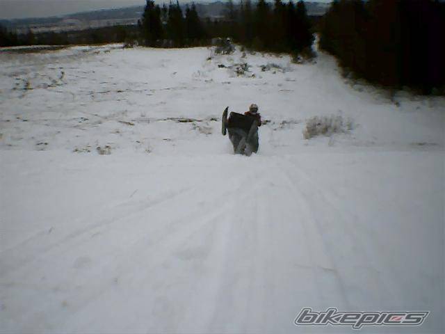 Photo 516231