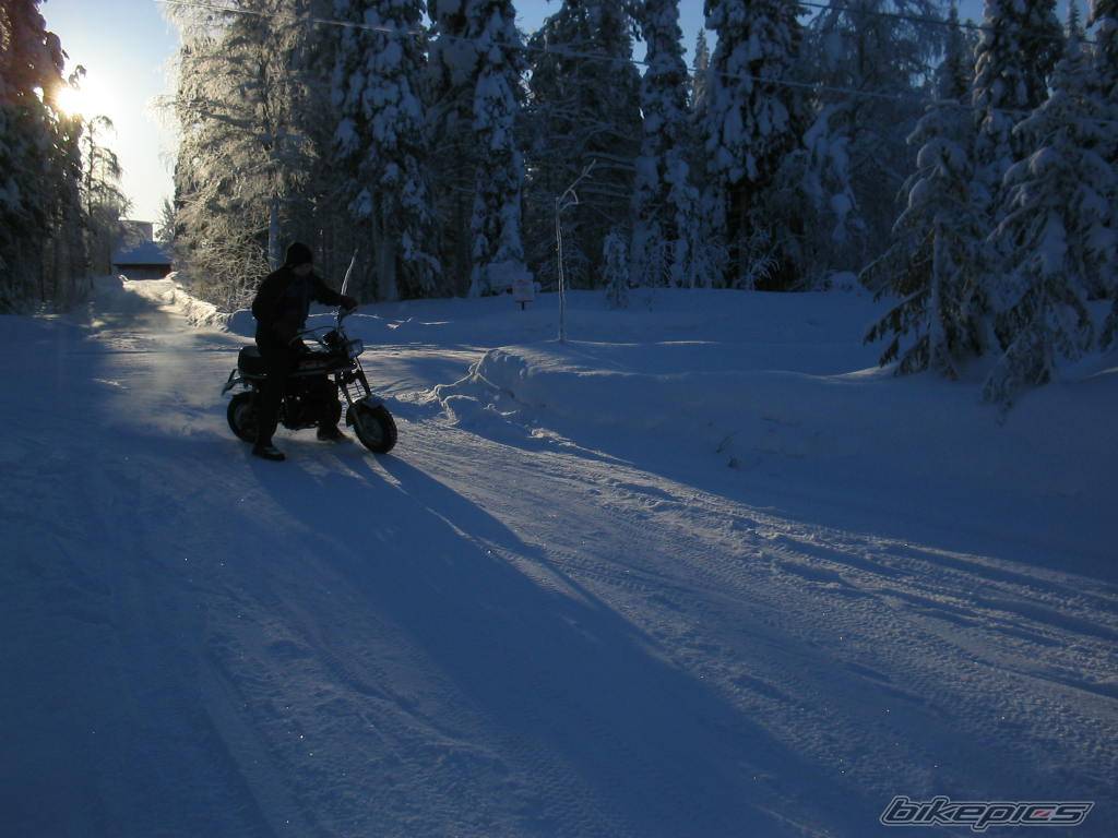 Photo 516237