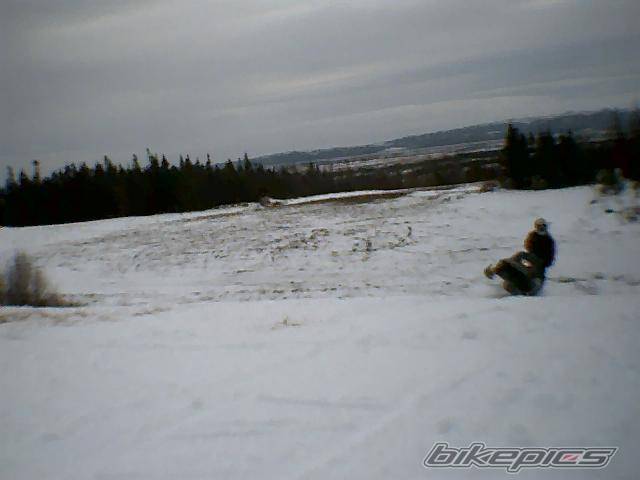 Photo 516238