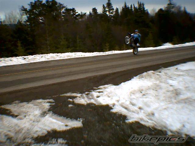 Photo 516260
