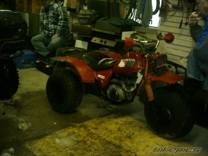 Photo 516397