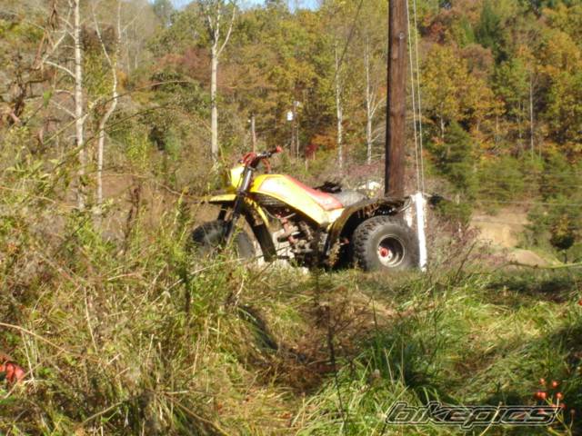 Photo 516946
