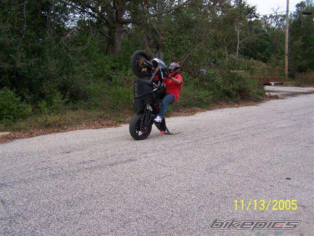 Photo 517009