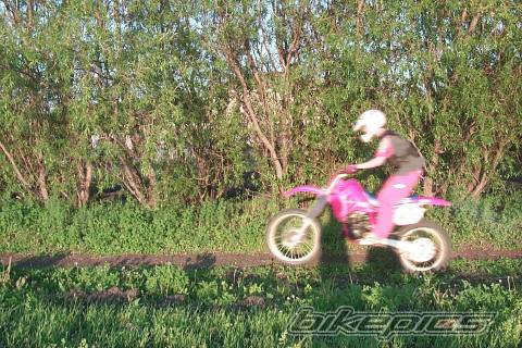 Photo 51702