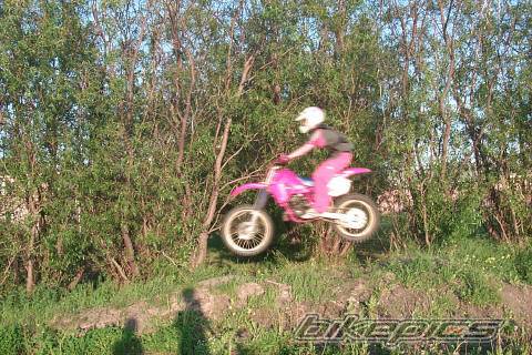 Photo 51703