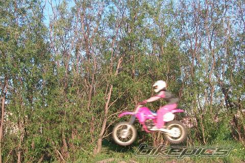 Photo 51704